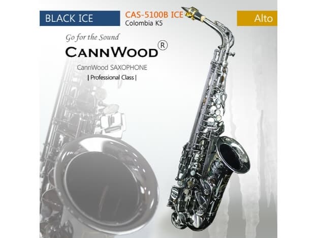 CannWood Saxophone_ _ Professional Class _ CAS_8100B ICE _